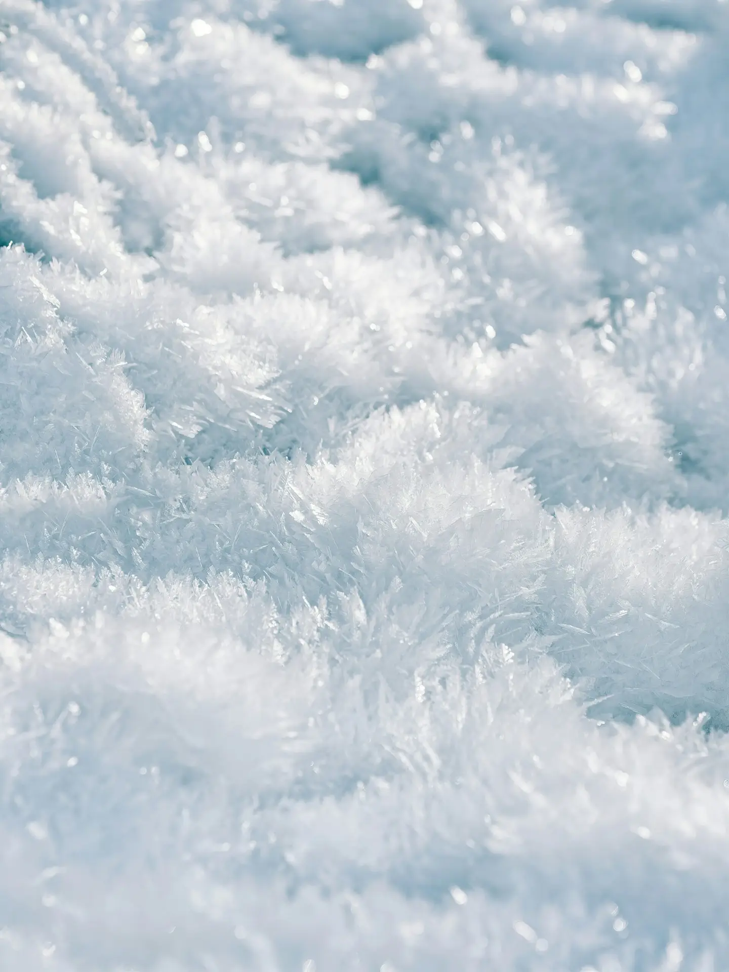 Cristaux de givre en gros plan